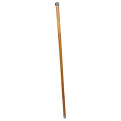 Simple Walking Stick / Promenade Stick 800 Silver, Birch
