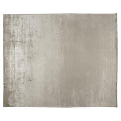 Tapis taupe tout simplement luxueux