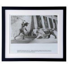 Sinbad e l
occhio della tigre (1977) Foto pubblicitaria - Incorniciata