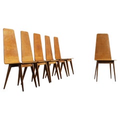 Sineo Gemignani Set of Six Chairs in Curved Wood Italian Manufacture 1940s