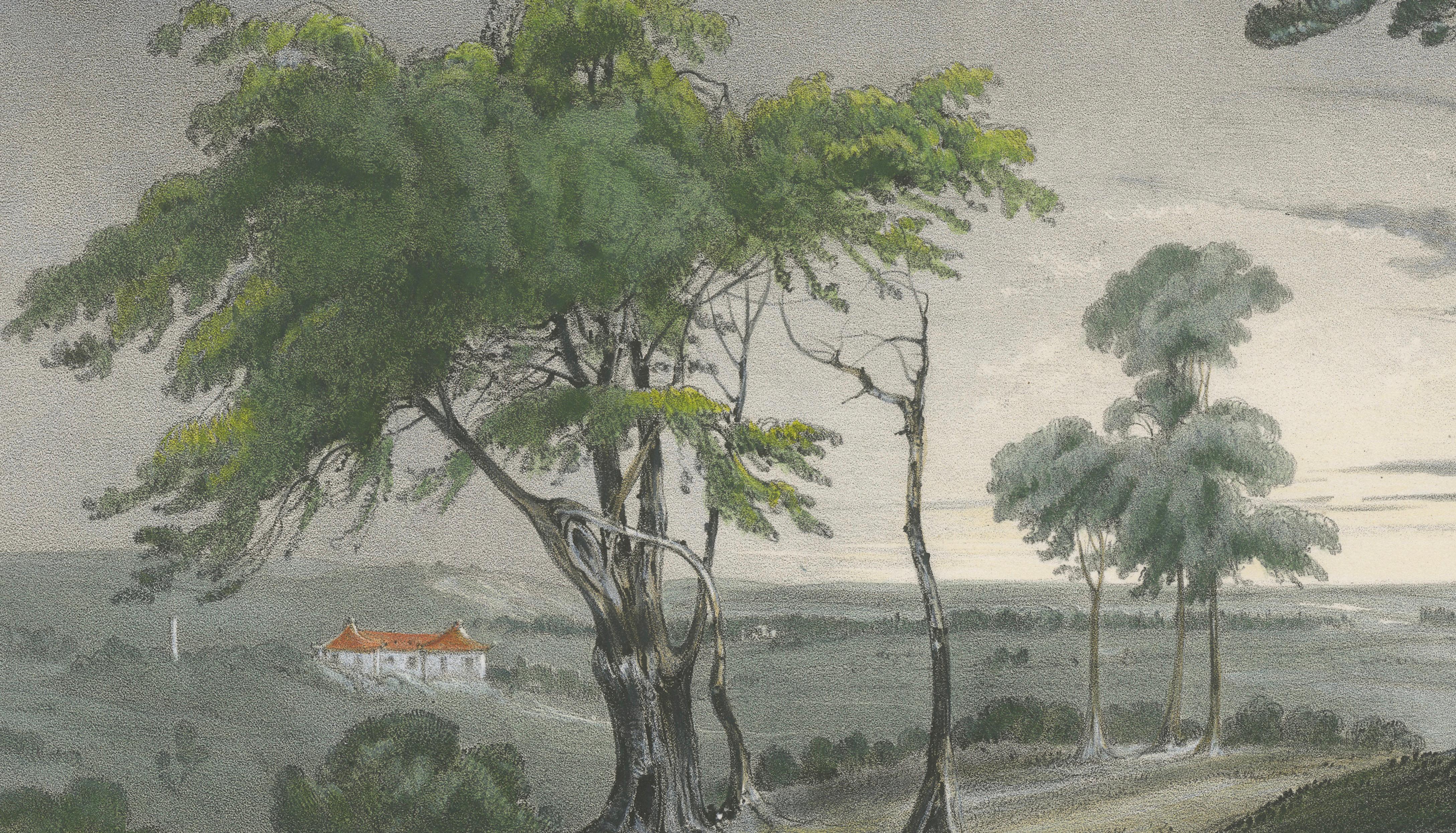 Singapore Colonial Landscape Scene, French Exploration Lithograph, 1845