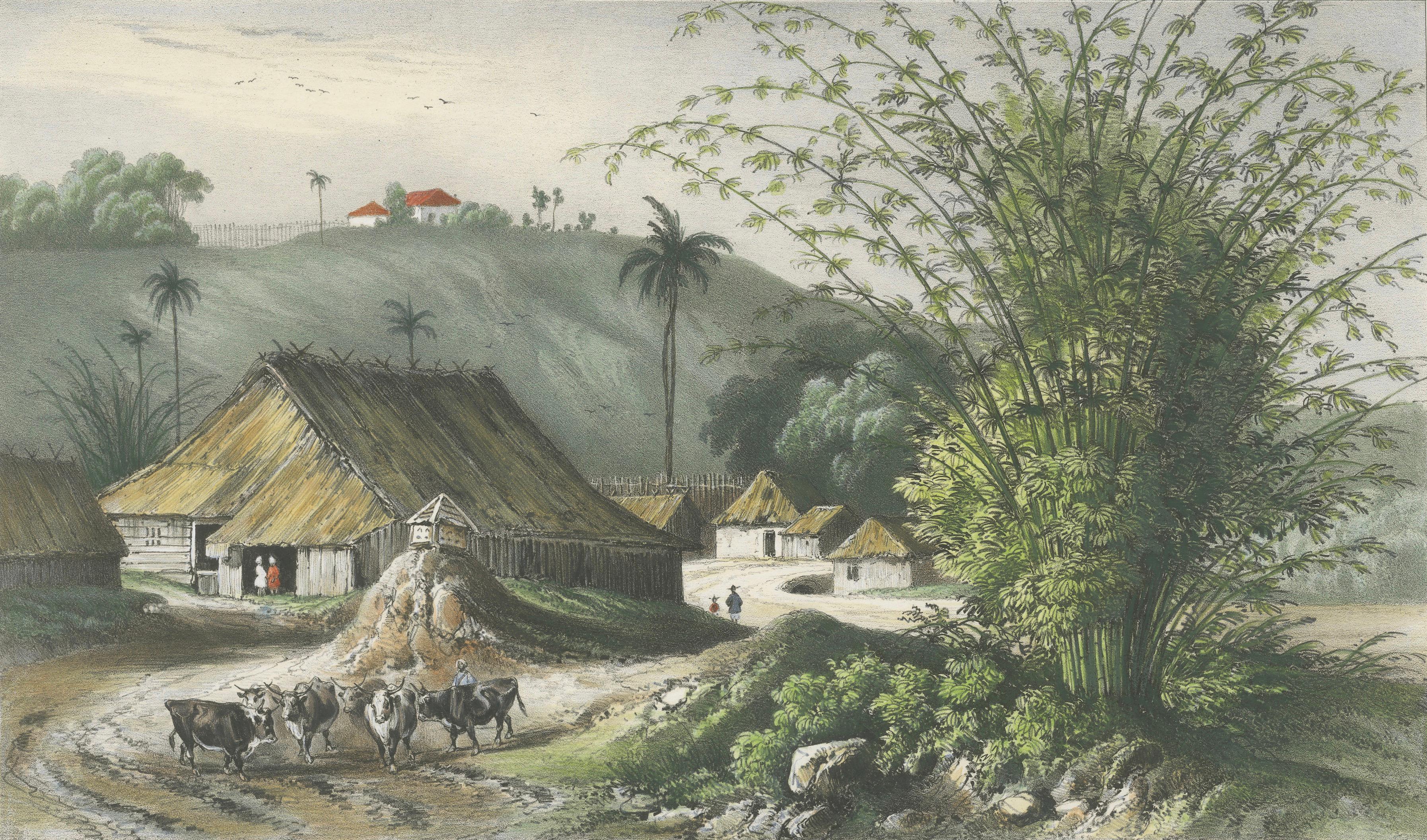 Singapore Environs View, French Exploration Lithograph, La Bonite Voyage, 1845