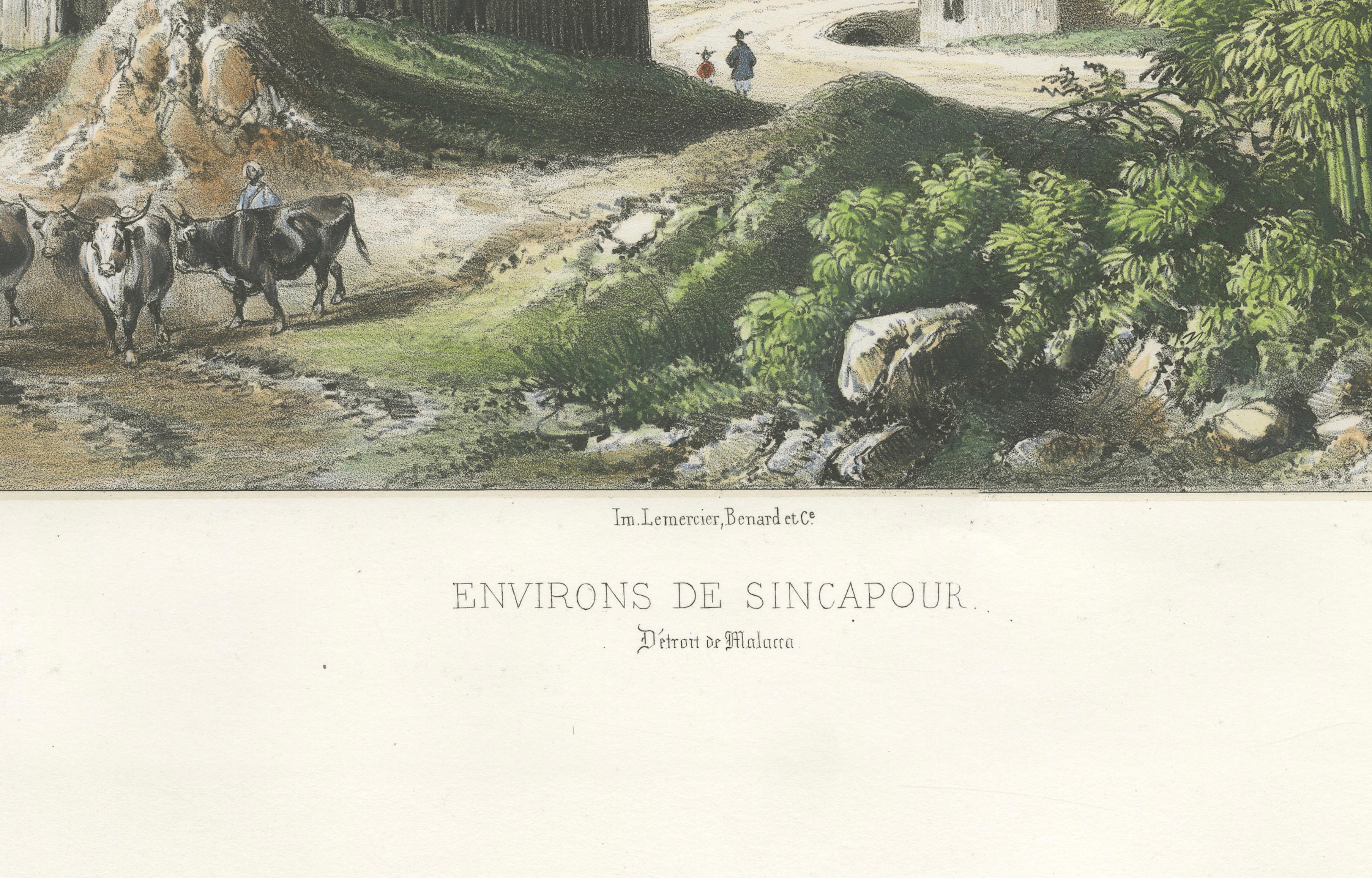 Singapore Environs View, French Exploration Lithograph, La Bonite Voyage, 1845