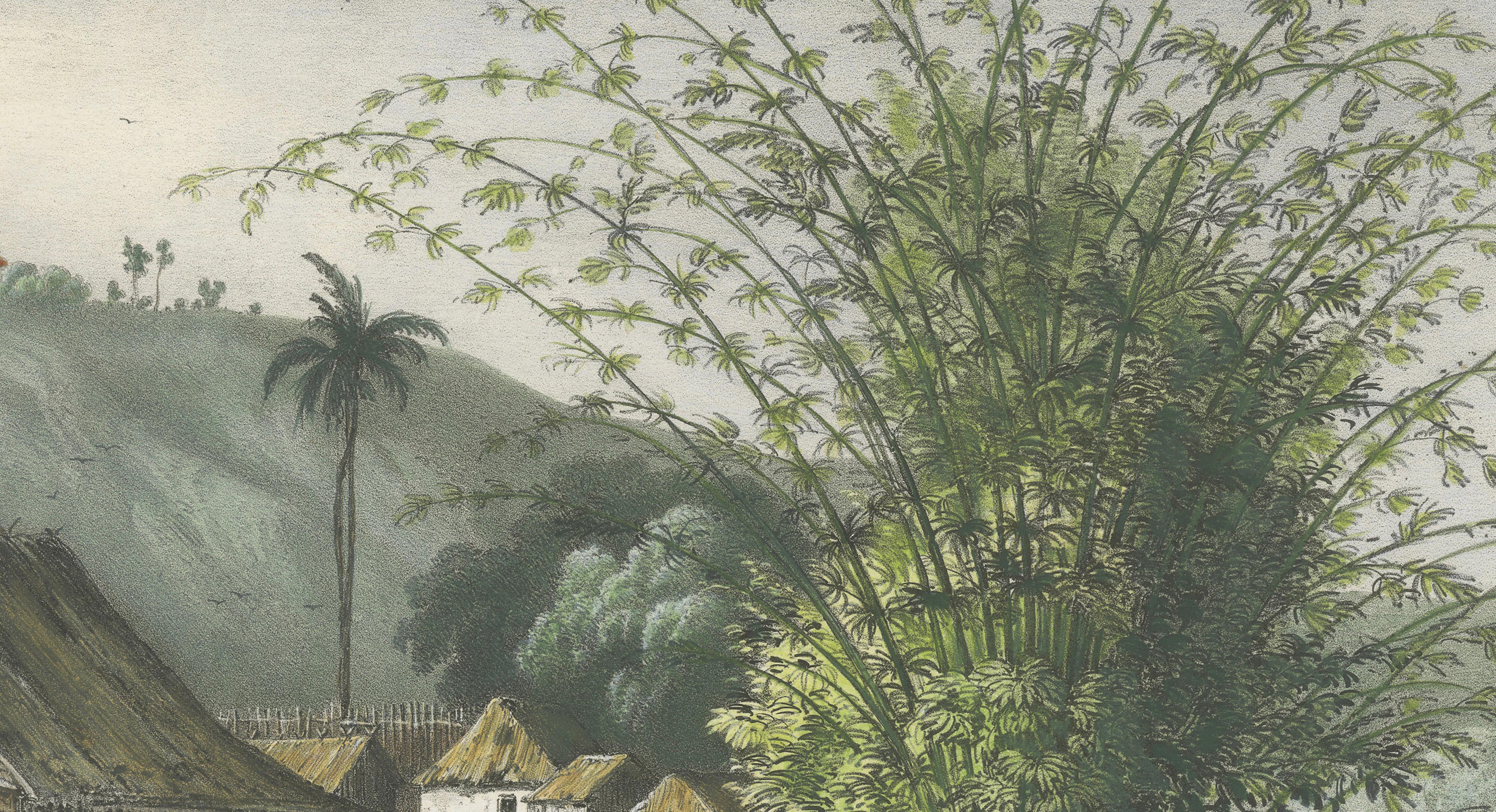 Singapore Environs View, French Exploration Lithograph, La Bonite Voyage, 1845