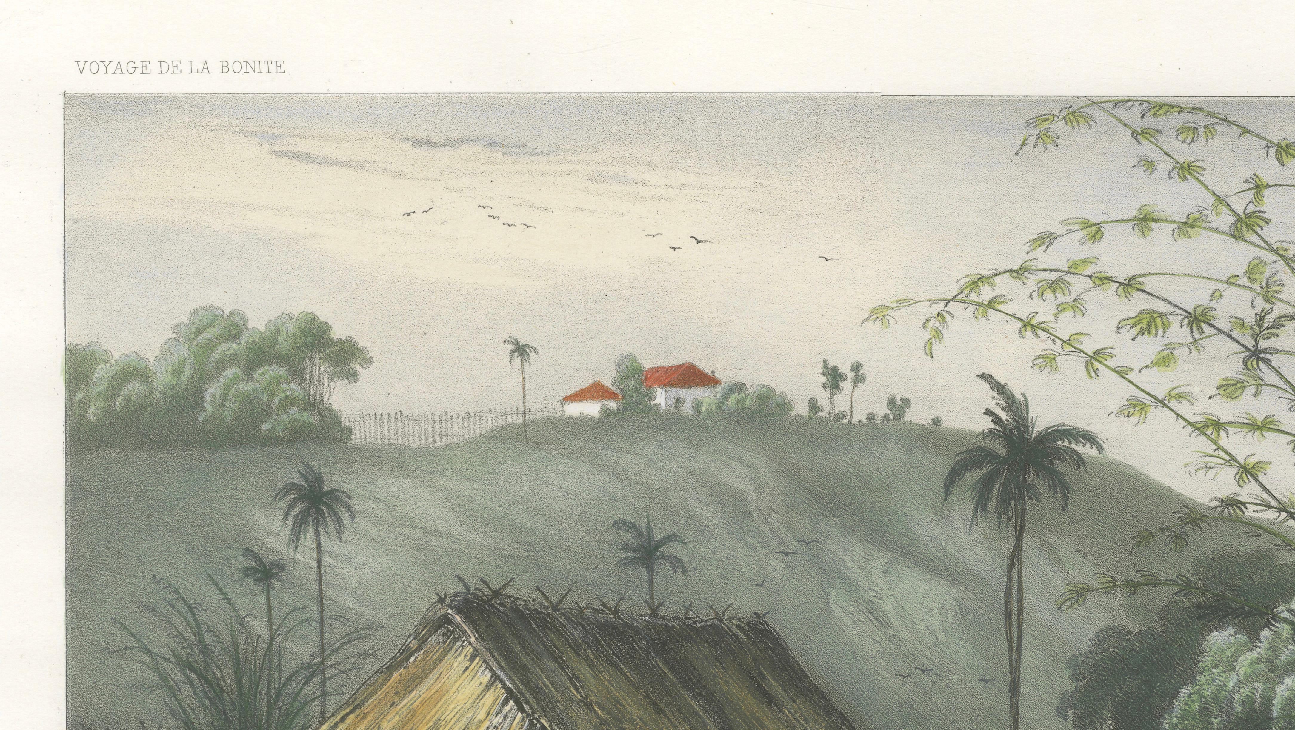 Singapore Environs View, French Exploration Lithograph, La Bonite Voyage, 1845