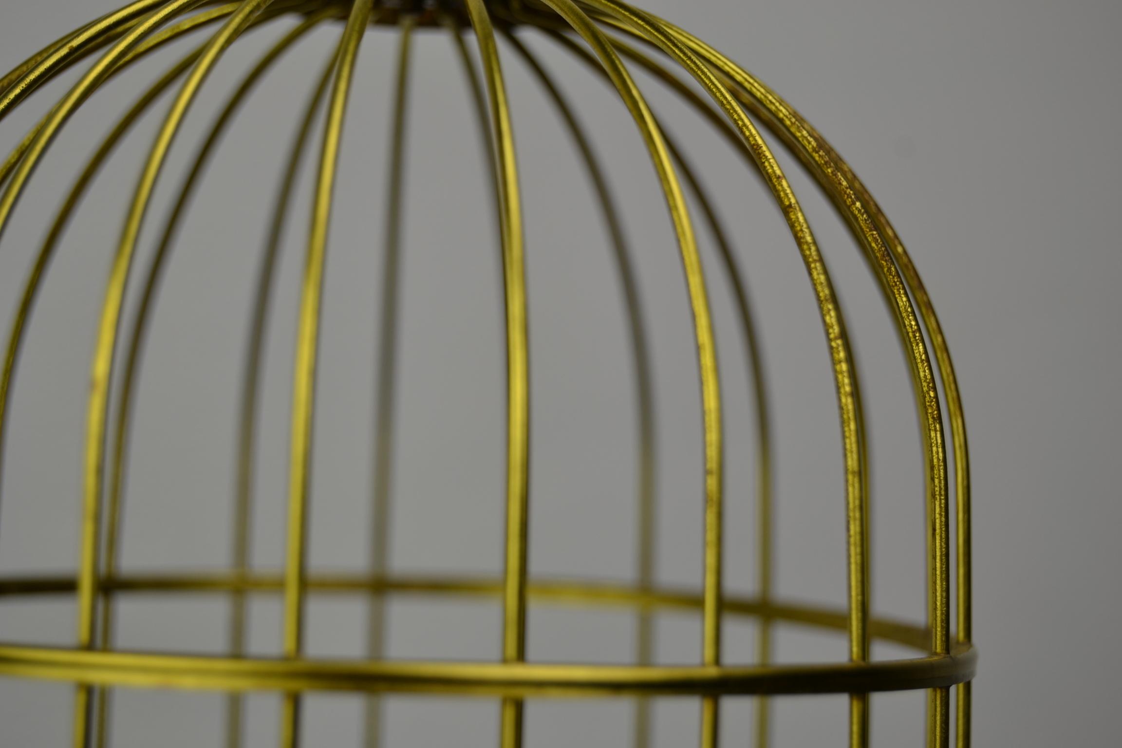 Singing Bird Cage Automaton by Hasu Germany, Mid-20th Century 7