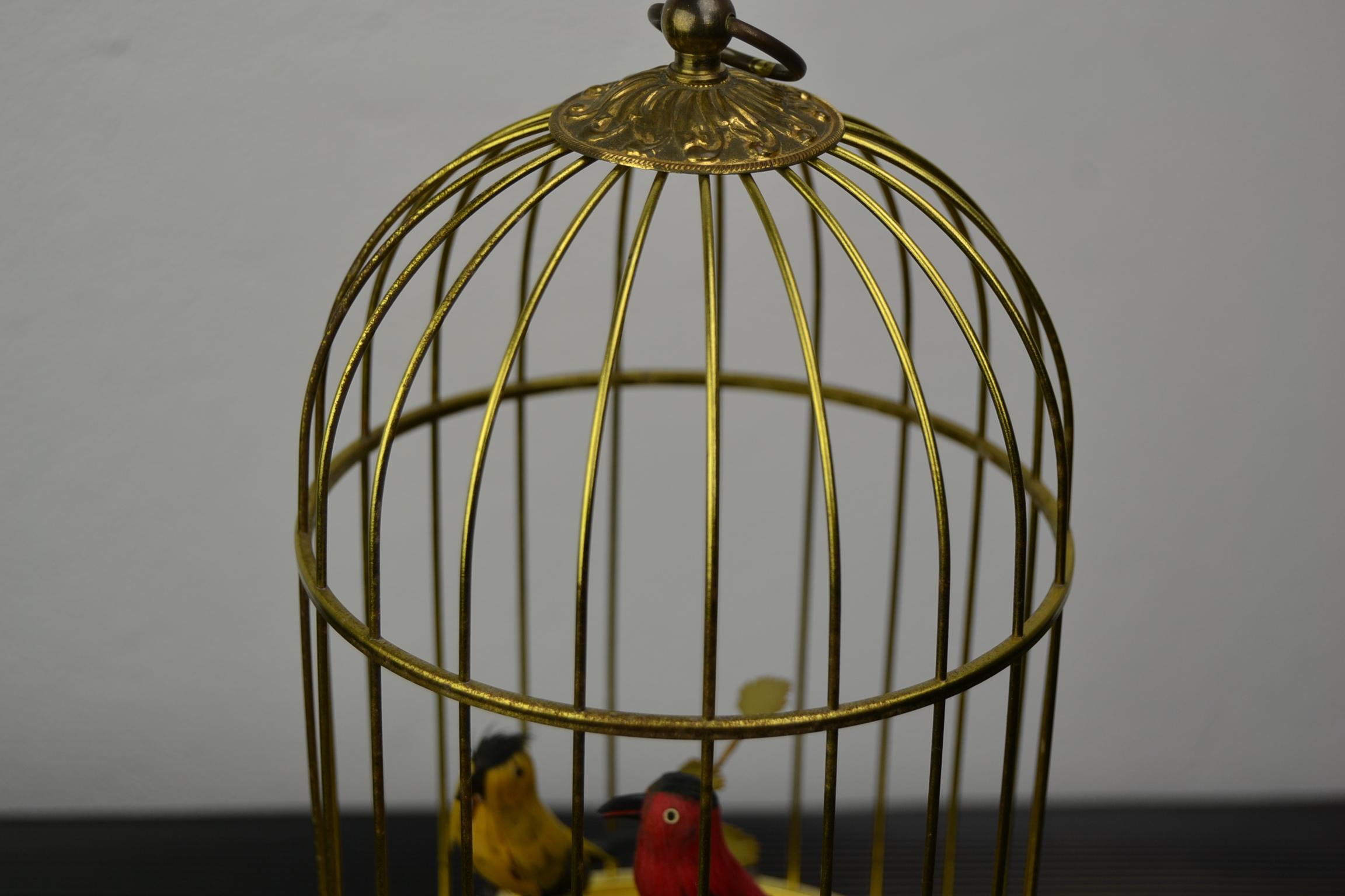 singing bird in cage