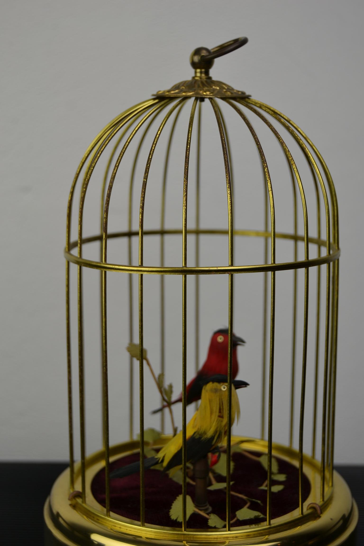 Singing Bird Cage Automaton by Hasu Germany, Mid-20th Century 2