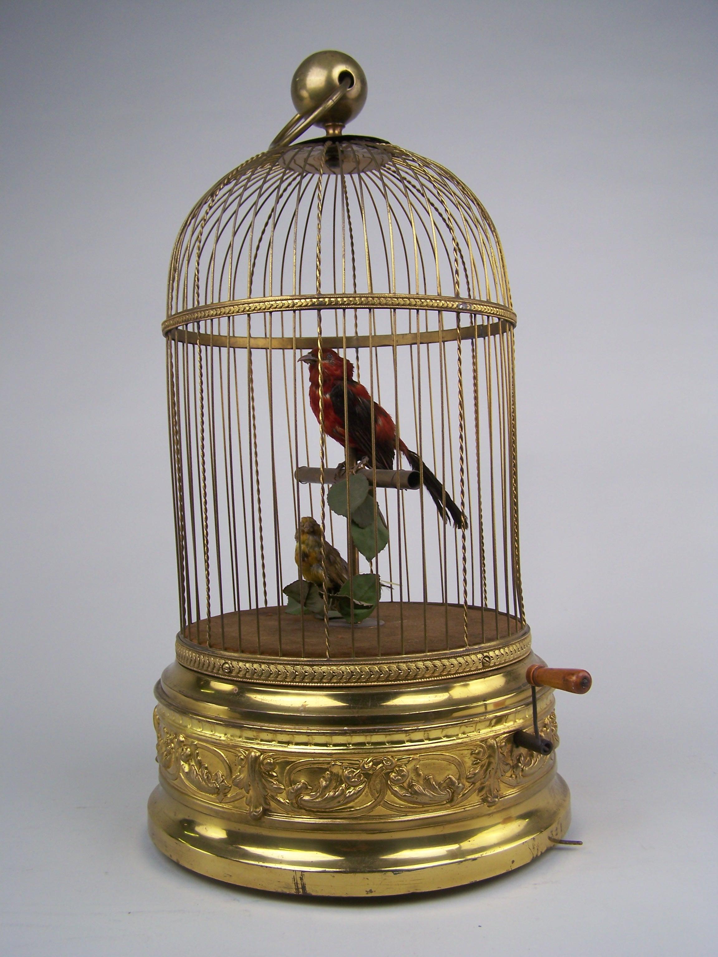 Victorien tardif Cage à oiseaux chanteurs avec 2 oiseaux de Bontems  en vente
