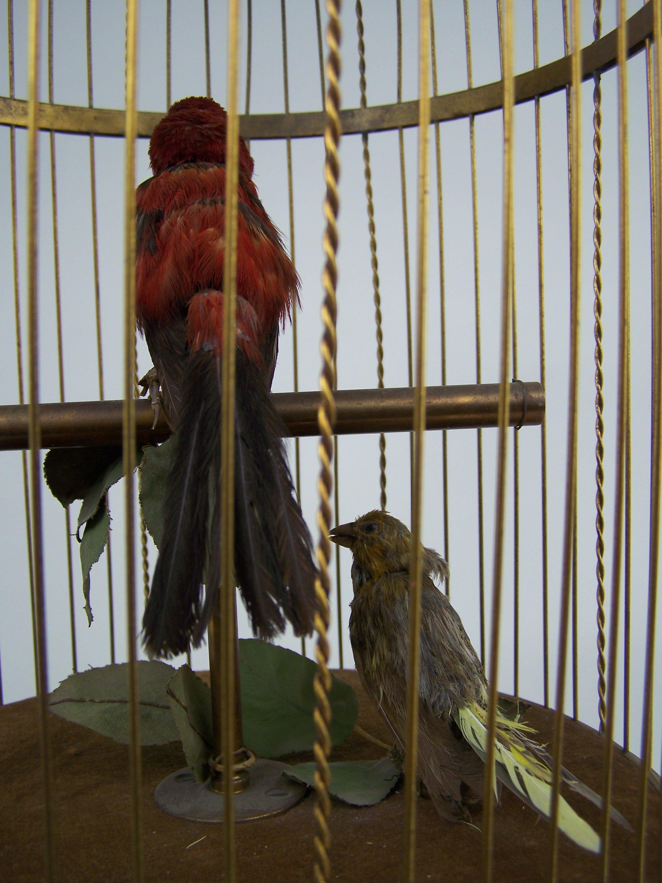 Singender Vogelkäfig mit 2 Vögeln von Bontems  (Sonstiges) im Angebot