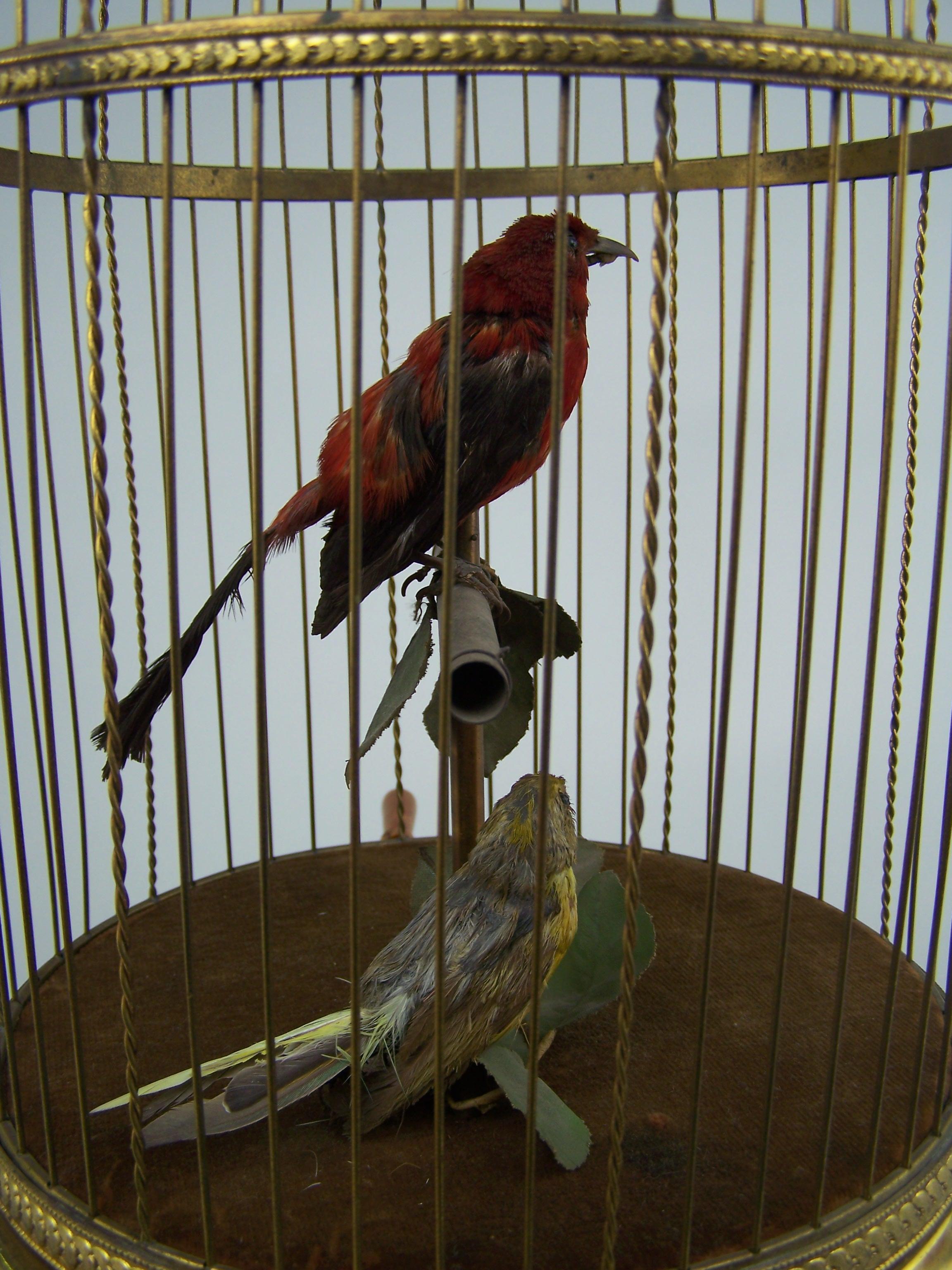 Cage à oiseaux chanteurs avec 2 oiseaux de Bontems  État moyen - En vente à Zonhoven, BE