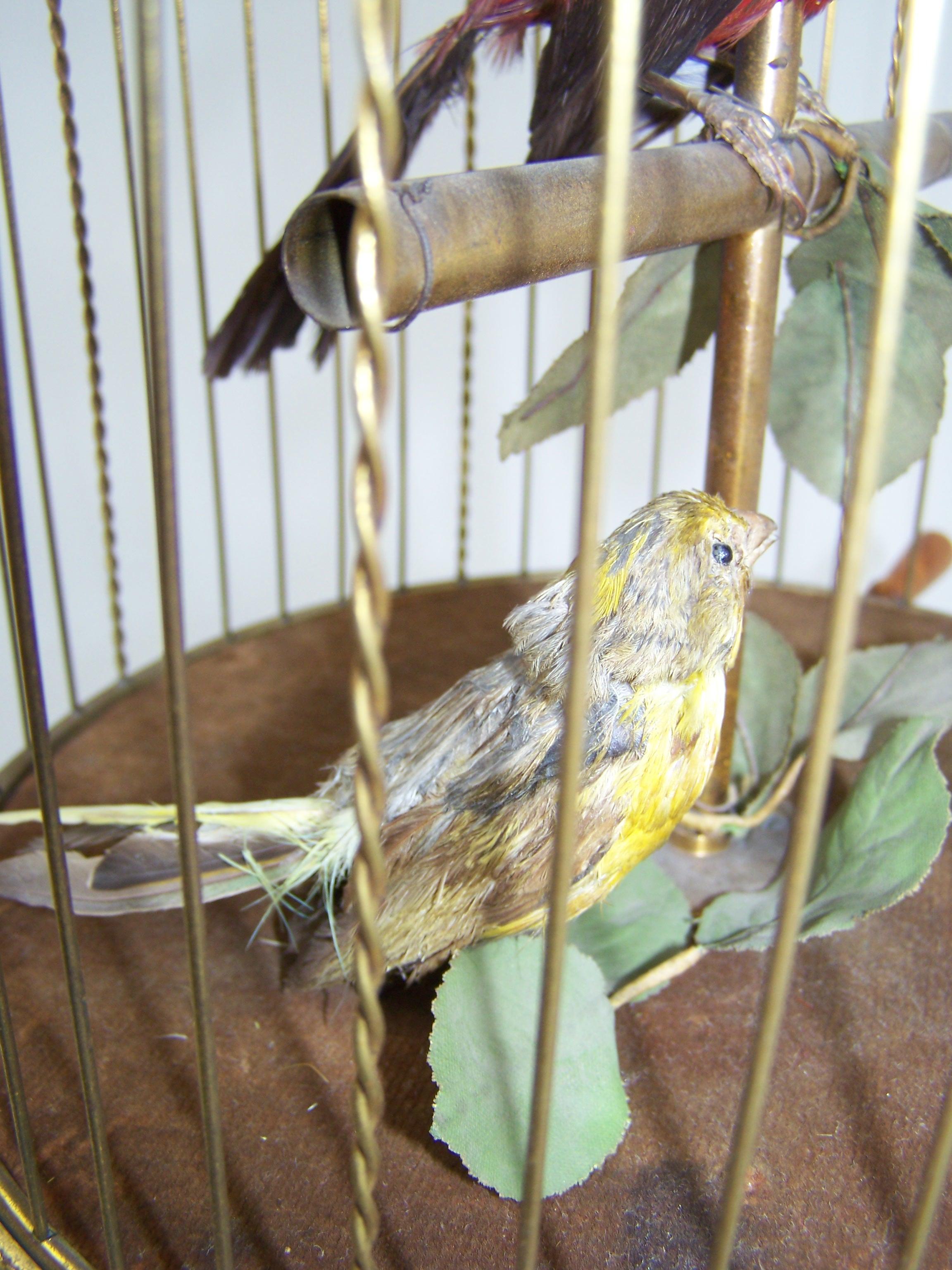 XIXe siècle Cage à oiseaux chanteurs avec 2 oiseaux de Bontems  en vente