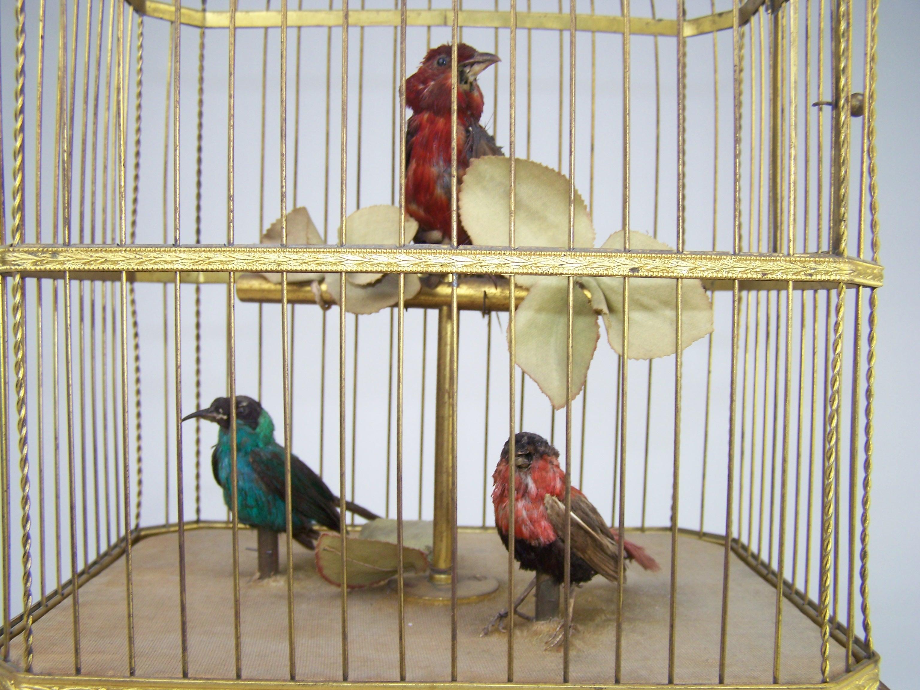 19th Century Singing Bird Cage with 3 birds by Bontems 