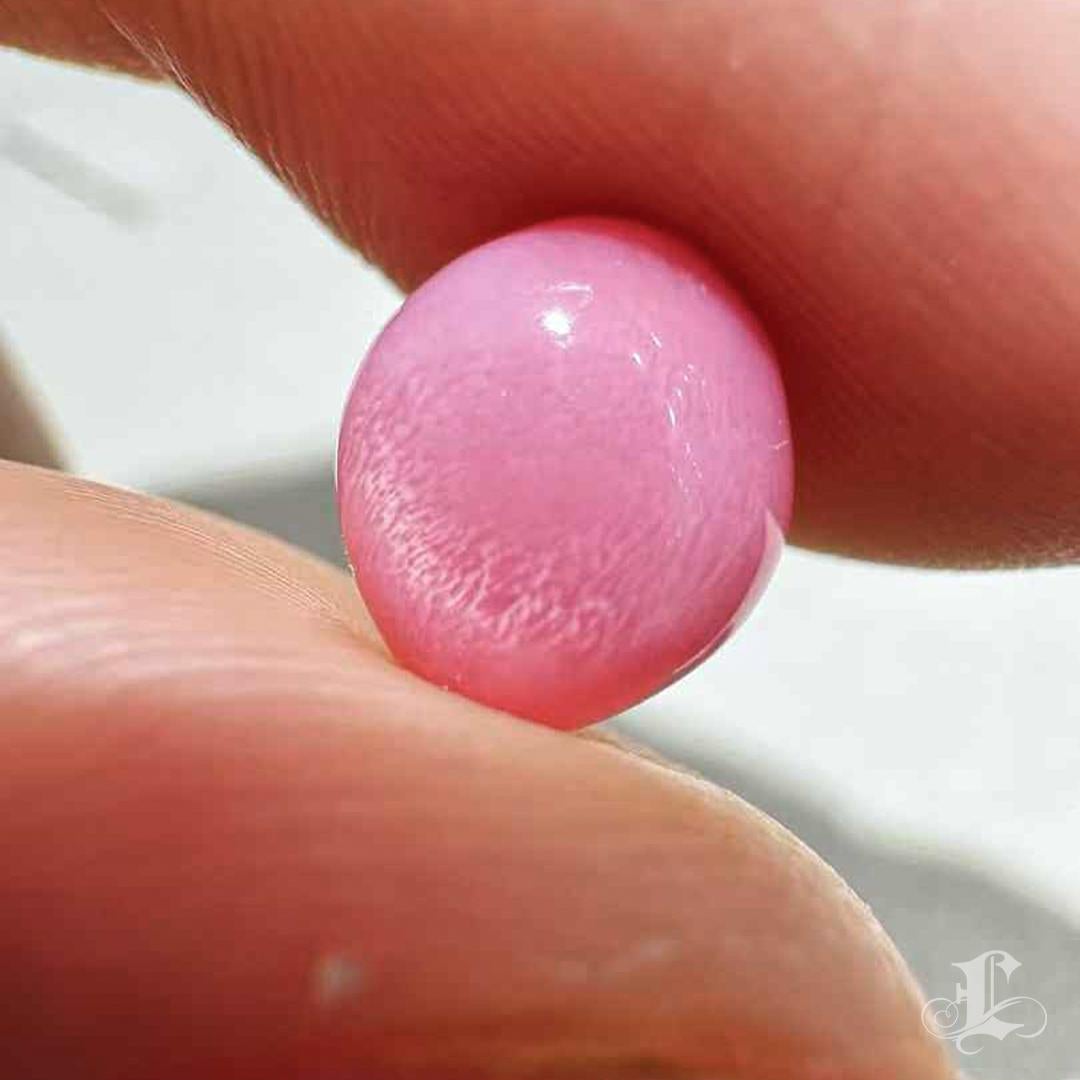 【Conchéa】Collector's Flamingo 2.60ct Loose Conch Pearl 4