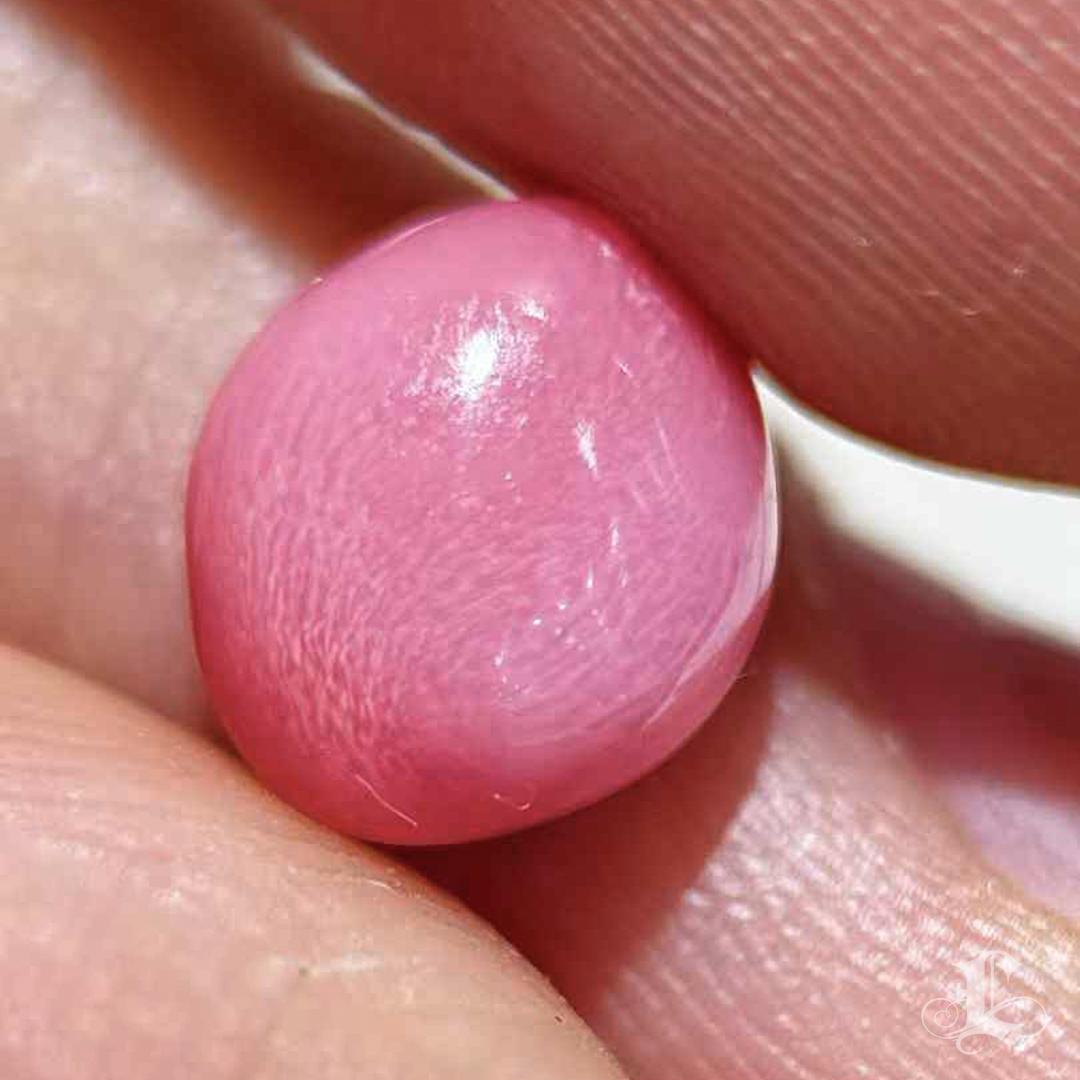 De las mujeres 【Conchéa】Collector's Flamingo 2.60ct Loose Conch Pearl