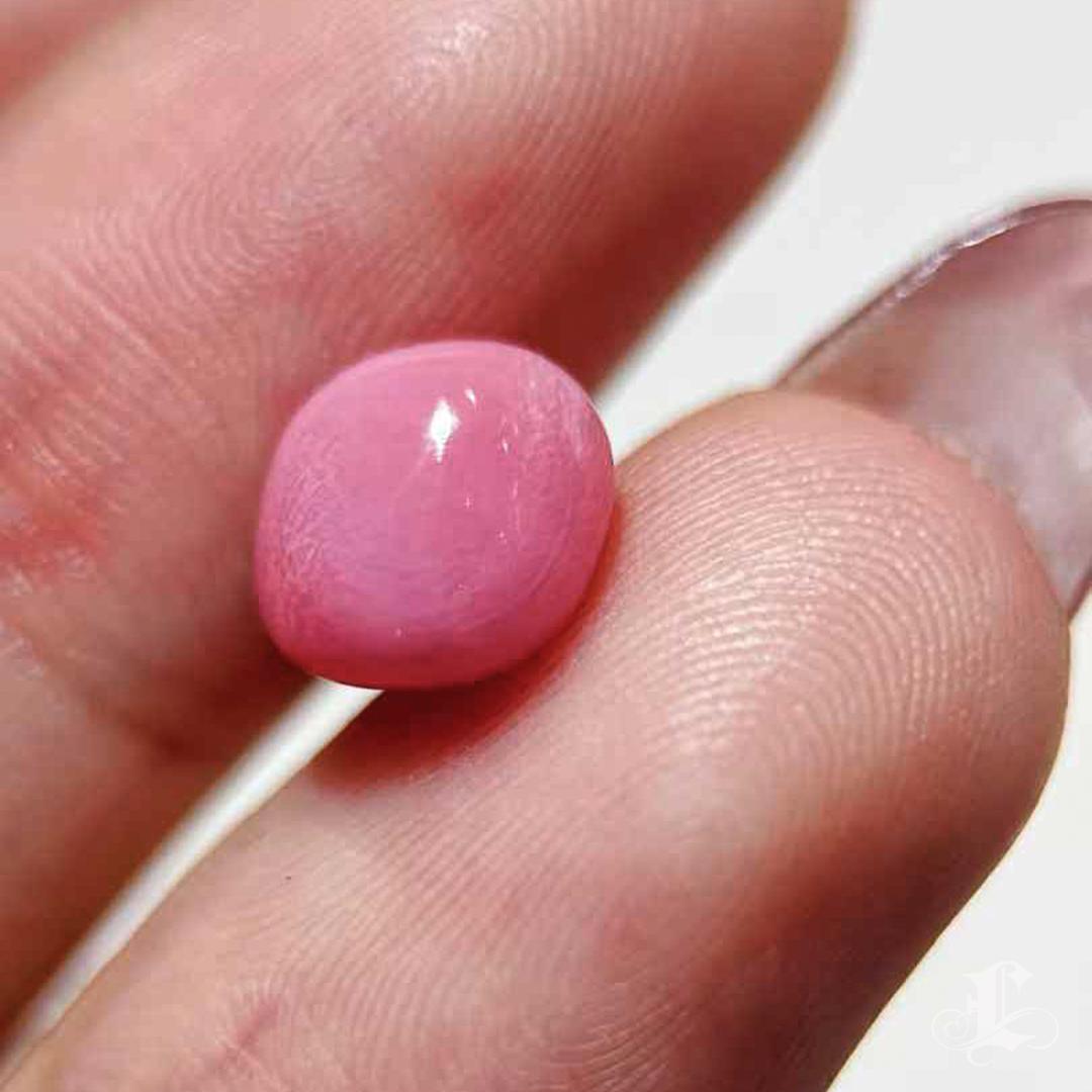 【Conchéa】Collector's Flamingo 2.60ct Loose Conch Pearl 6