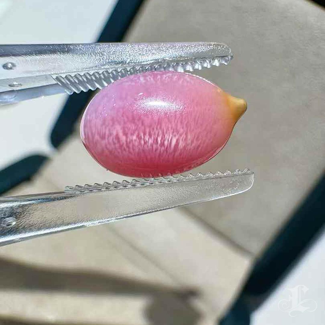 Uncut Flamingo Flame Natural Conch Pearl – Collector's Gem
