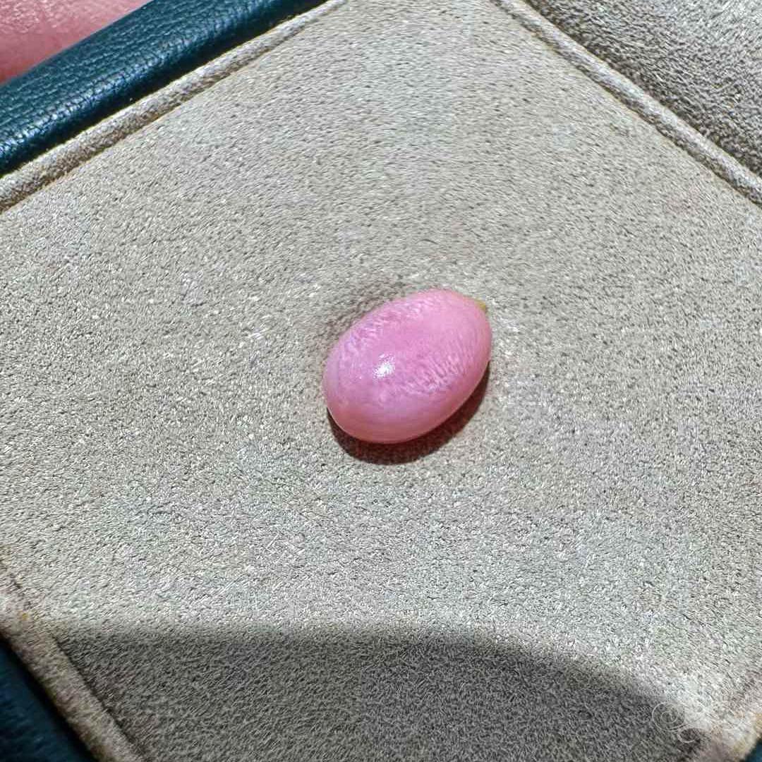 Flamingo Flame Natural Conch Pearl – Collector's Gem In New Condition In New York, NY