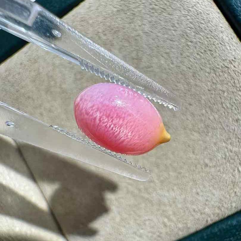Flamingo Flame Natural Conch Pearl – Collector's Gem 1