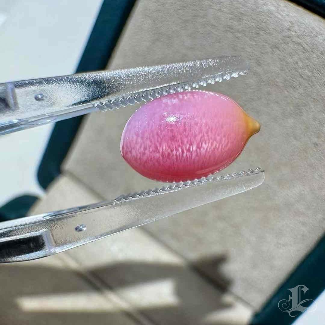 Flamingo Flame Natural Conch Pearl – Collector's Gem 2