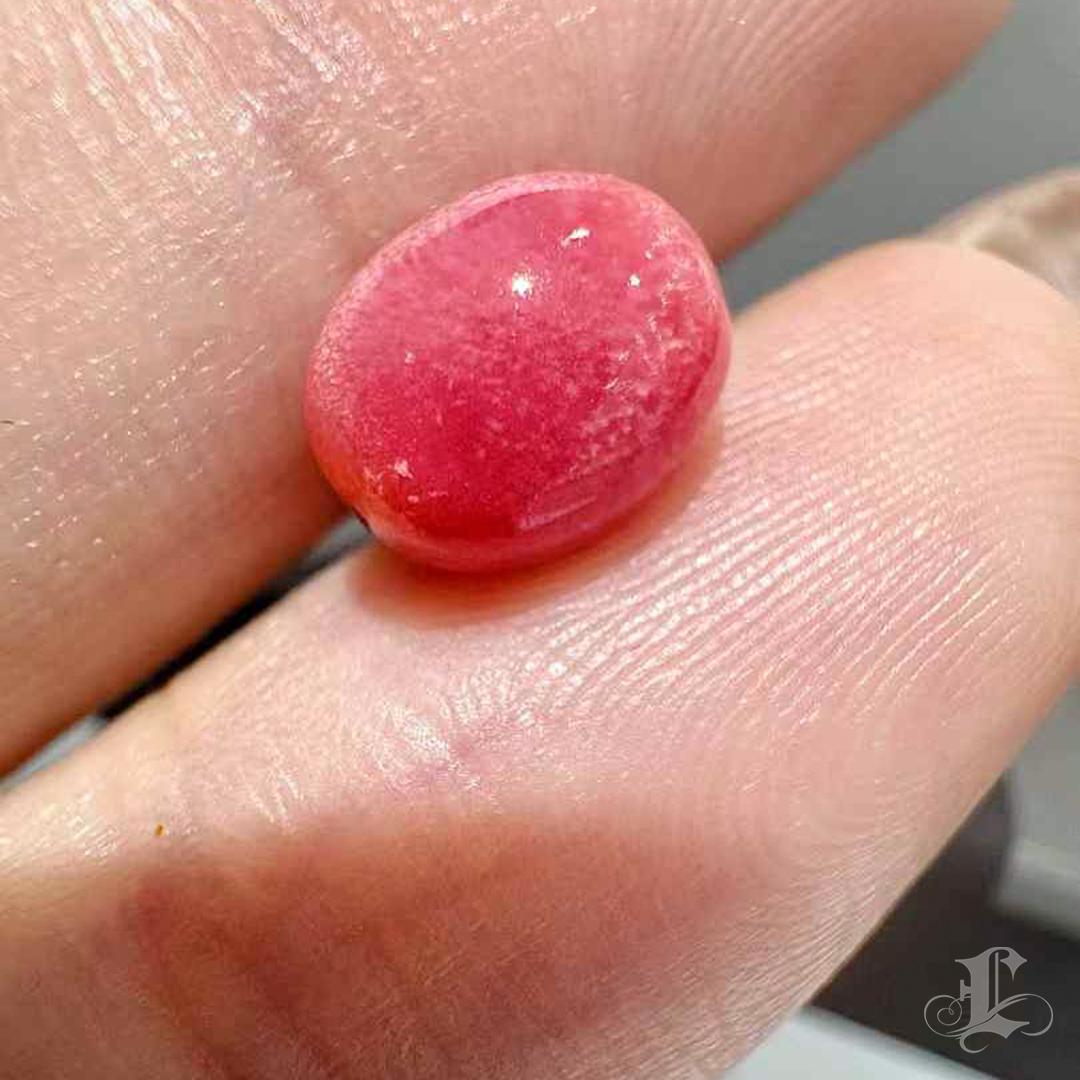 Uncut SINGLE 2.60ct Aurora Flamingo Conch Loose Pearl