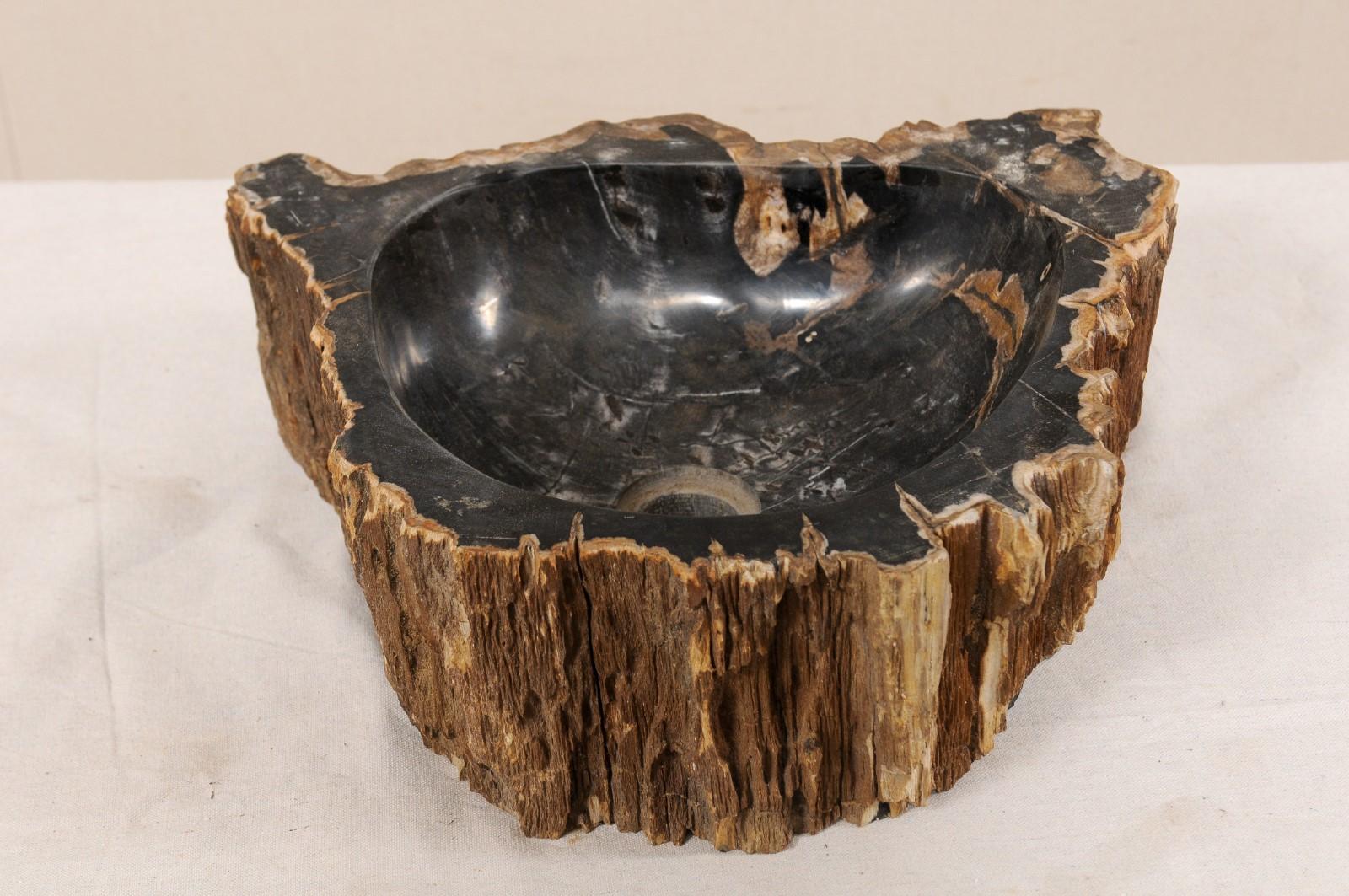 A single petrified wood wash basin. This petrified wood sink has a polished finish basin, making for easy clean-up, surrounded by an unpolished, natural textured exterior. The colors are primarily black with brown veining within the basin, and