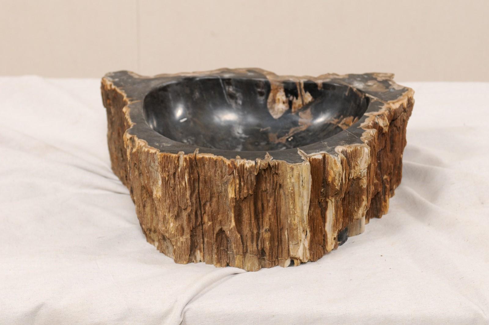petrified wood sink basin
