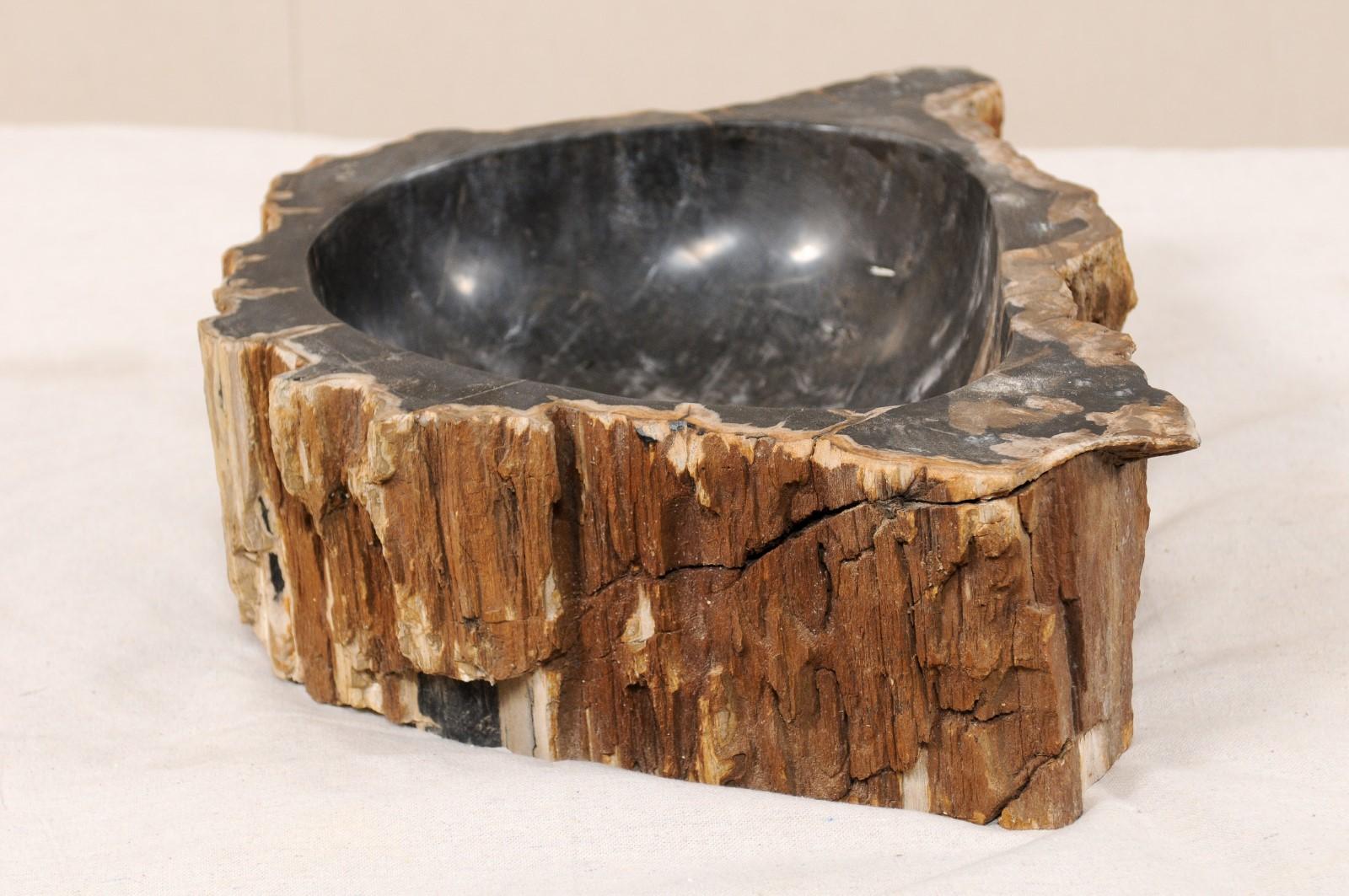 Contemporary Single Black and Brown Polished Petrified Wood Sink Wash Basin