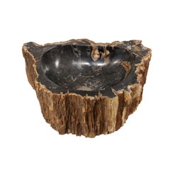 Single Black and Brown Polished Petrified Wood Sink Wash Basin