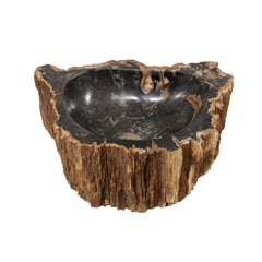 Single Black and Brown Polished Petrified Wood Sink Wash Basin