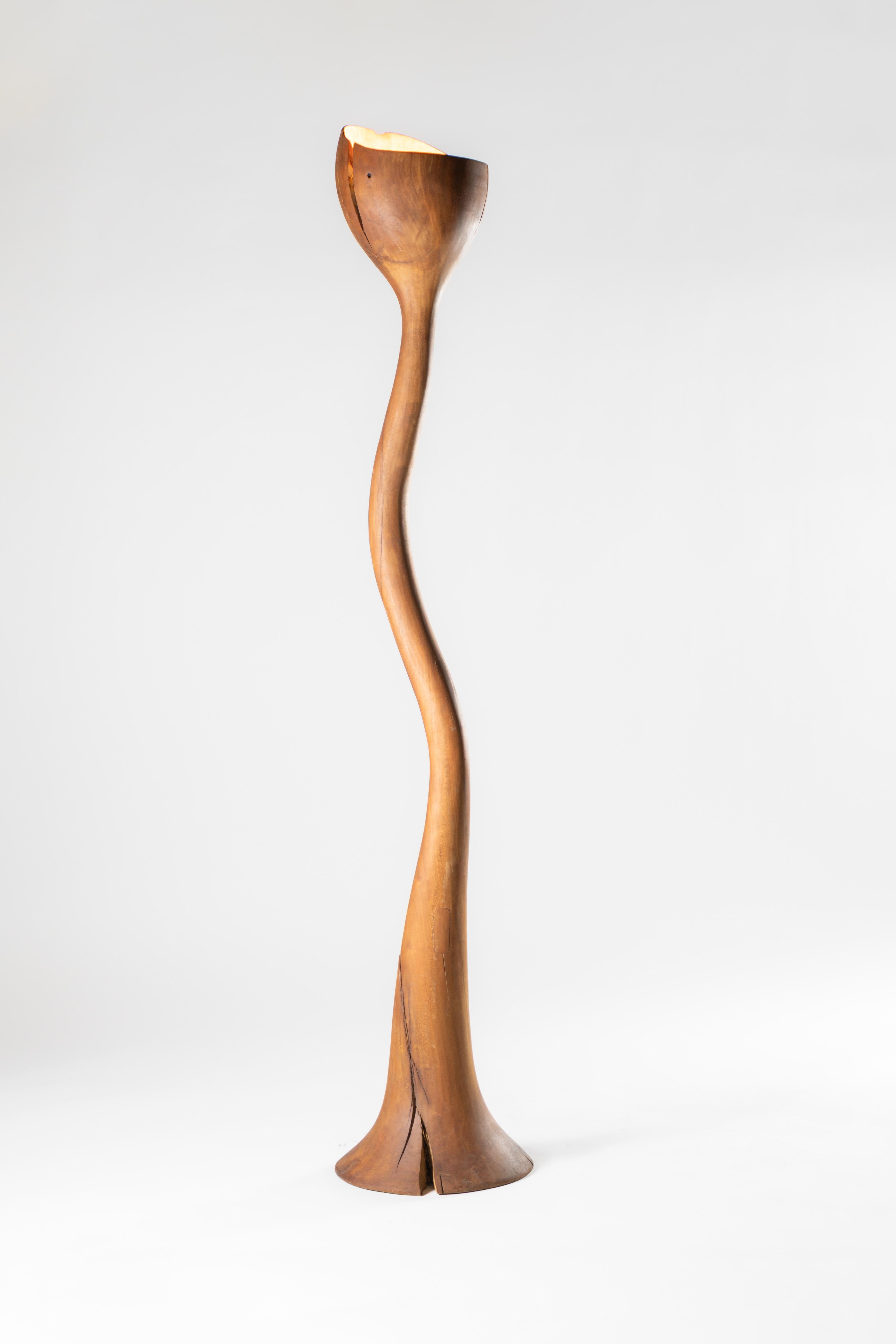 Einzelne Block Wood Meso Stehleuchte by Sebastián Cappiello
Abmessungen:  B 35 x T 35 x H 180 cm
MATERIALIEN: Einzelner Holzblock. 
Bearbeitungen: Weiße Zeder, geschwärzte Zeder (Yakisugi), Encino (mexikanische Eiche), Capulin (mexikanischer