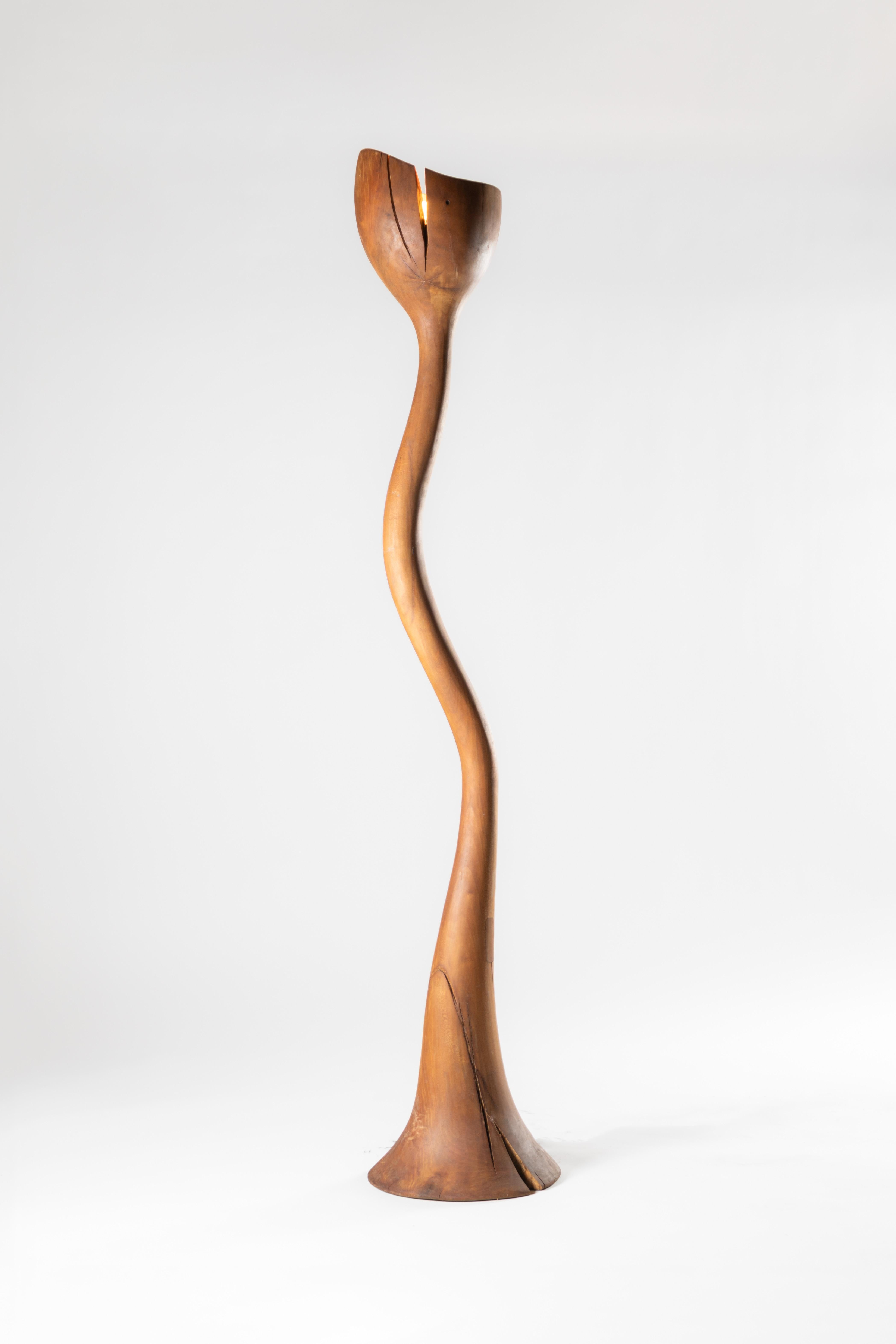 Einzelne Block Wood Meso Stehleuchte by Sebastián Cappiello (21. Jahrhundert und zeitgenössisch) im Angebot