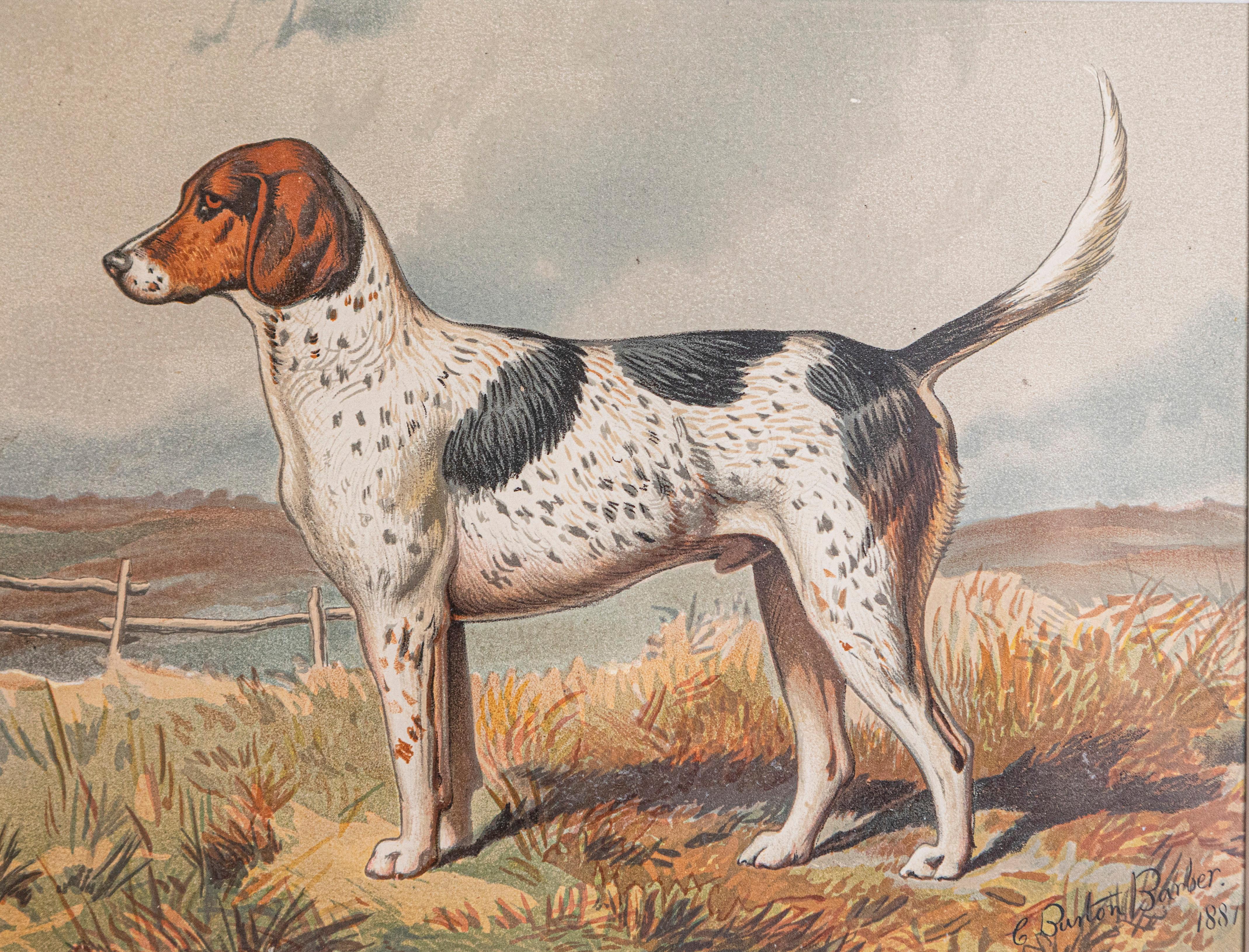 Esta pieza es una impresión cromolitográfica enmarcada de un perro de Cassell, Petter, Galpin & Co, una famosa editorial británica conocida por producir obras ilustradas de gran calidad a finales del siglo XIX. El grabado es una reproducción de El