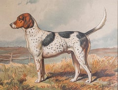 Single: Cassell, Petter, Galpin & Co Chromolithograph Dog Print in Black Frames