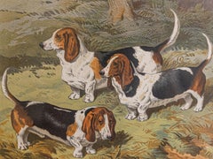 Single: Cassell, Petter, Galpin & Co Chromolithograph Dog Print in Black Frames