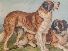 Single: Cassell, Petter, Galpin & Co, Chromolithograph Dog Print dans des cadres noirs