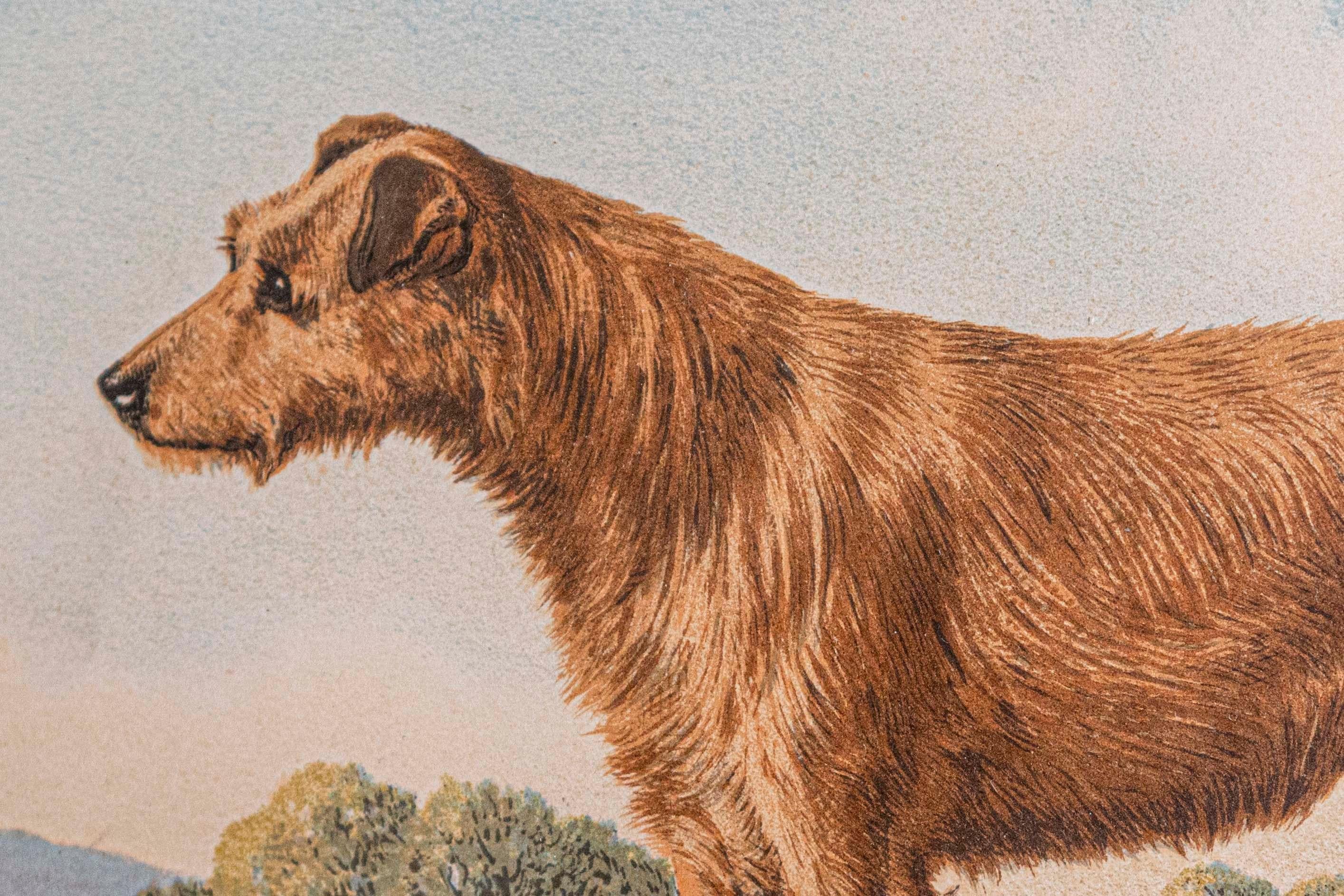 English Single: Cassell, Petter, Galpin & Co Chromolithograph Dog Print in Black Frames For Sale