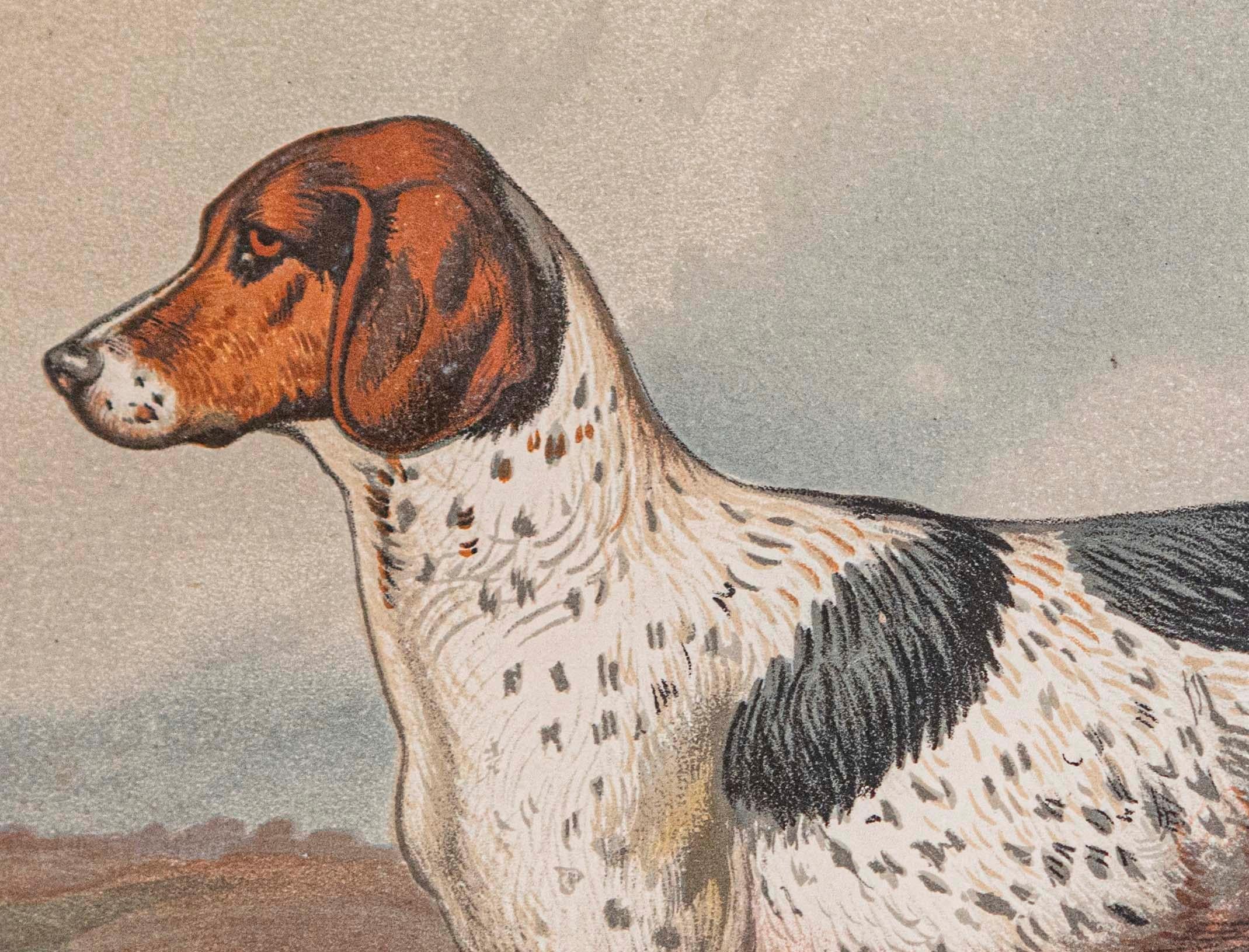 Individual Cassell, Petter, Galpin & Co Impresión cromolitográfica de perro en marco negro Policromado en venta