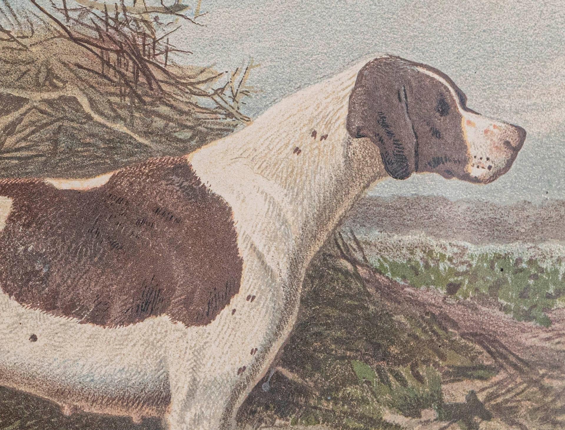 Polychromed Single: Cassell, Petter, Galpin & Co Chromolithograph Dog Print in Black Frames For Sale
