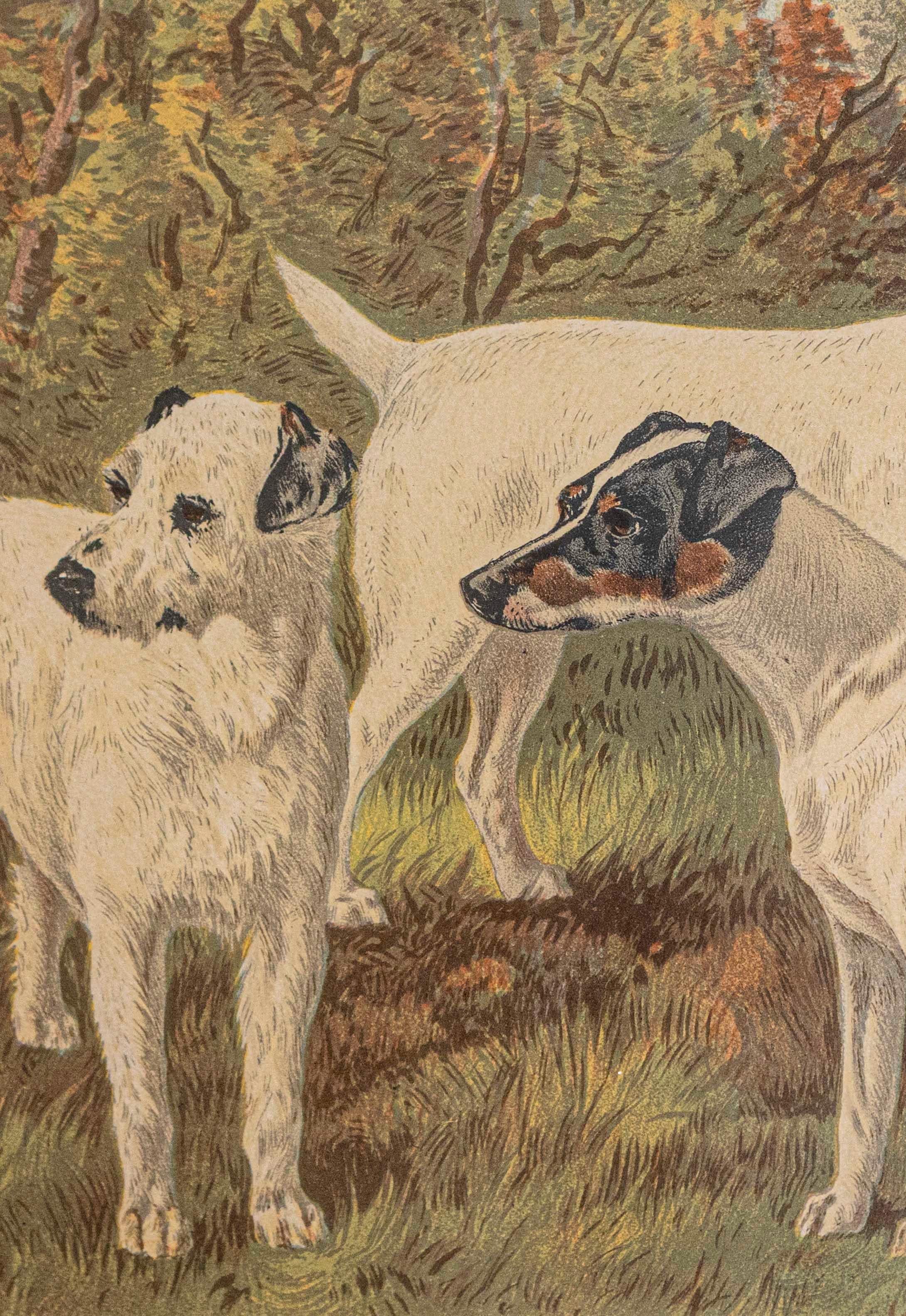 Polychromed Single: Cassell, Petter, Galpin & Co Chromolithograph Dog Print in Black Frames For Sale