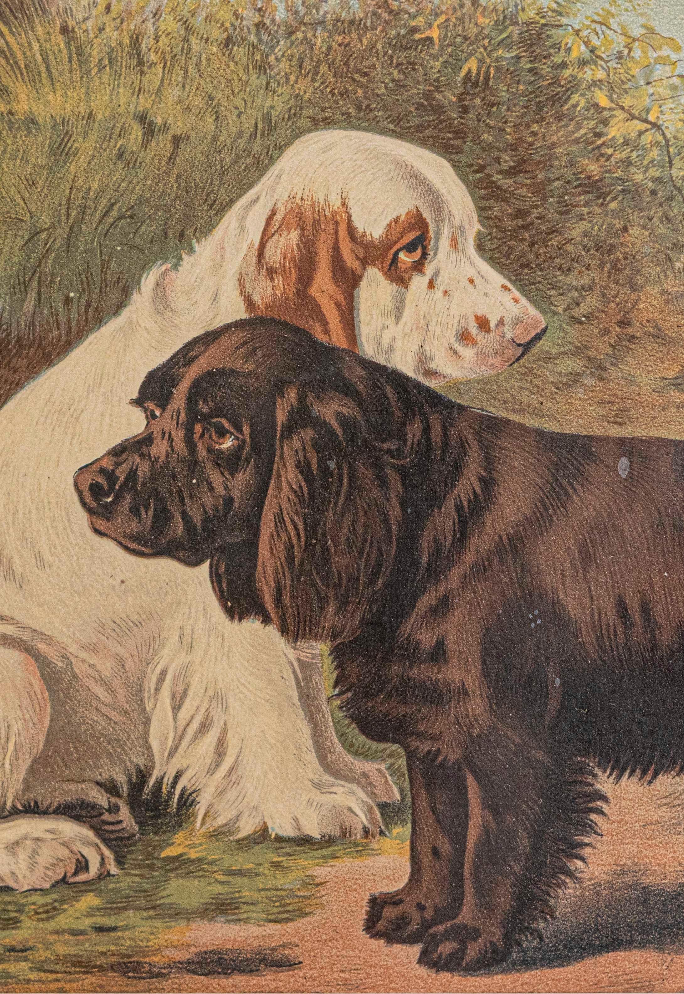 Late Victorian Single: Cassell, Petter, Galpin & Co Chromolithograph Dog Print in Black Frames For Sale