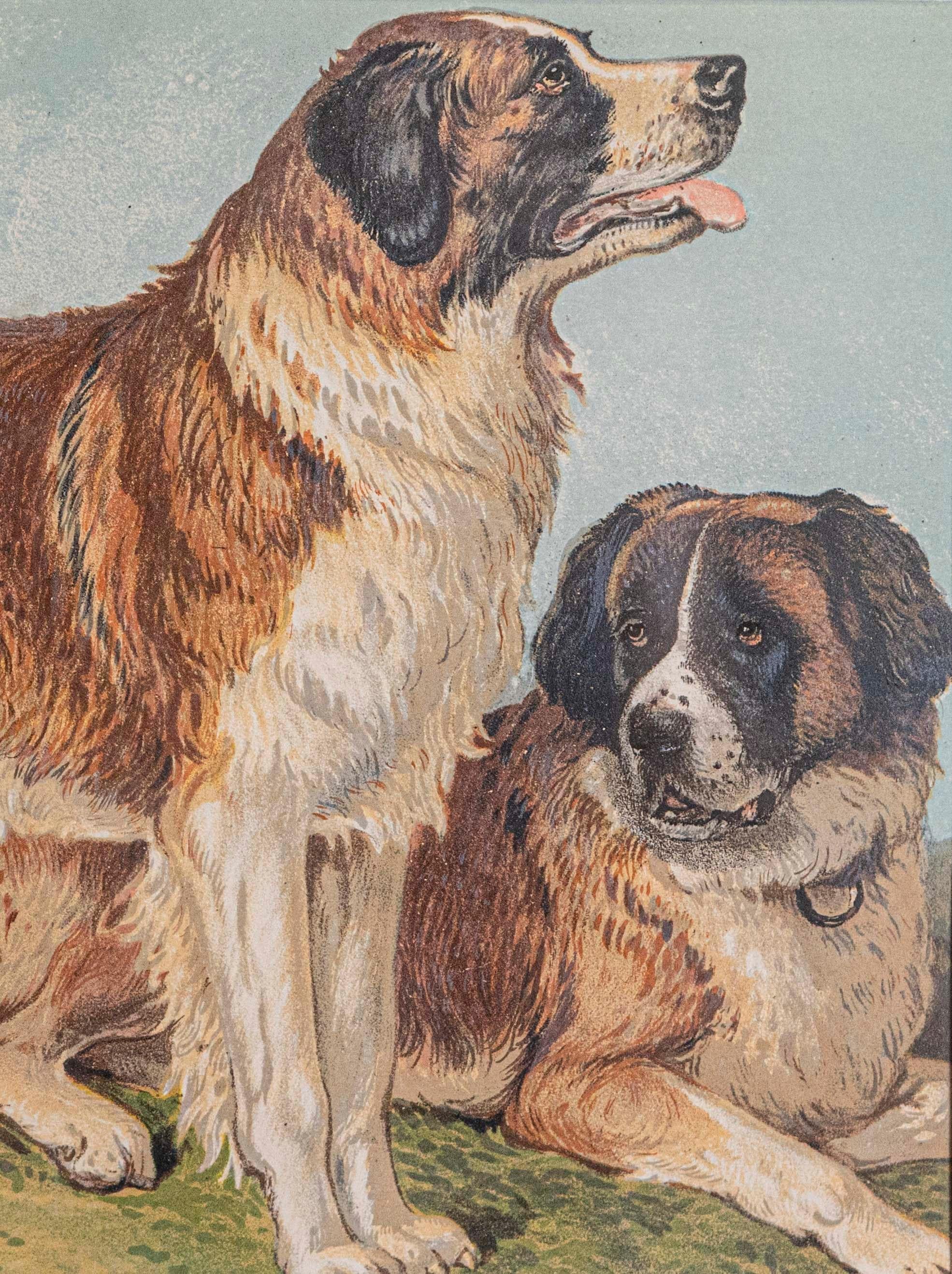 Polychromé Single: Cassell, Petter, Galpin & Co, Chromolithograph Dog Print dans des cadres noirs en vente