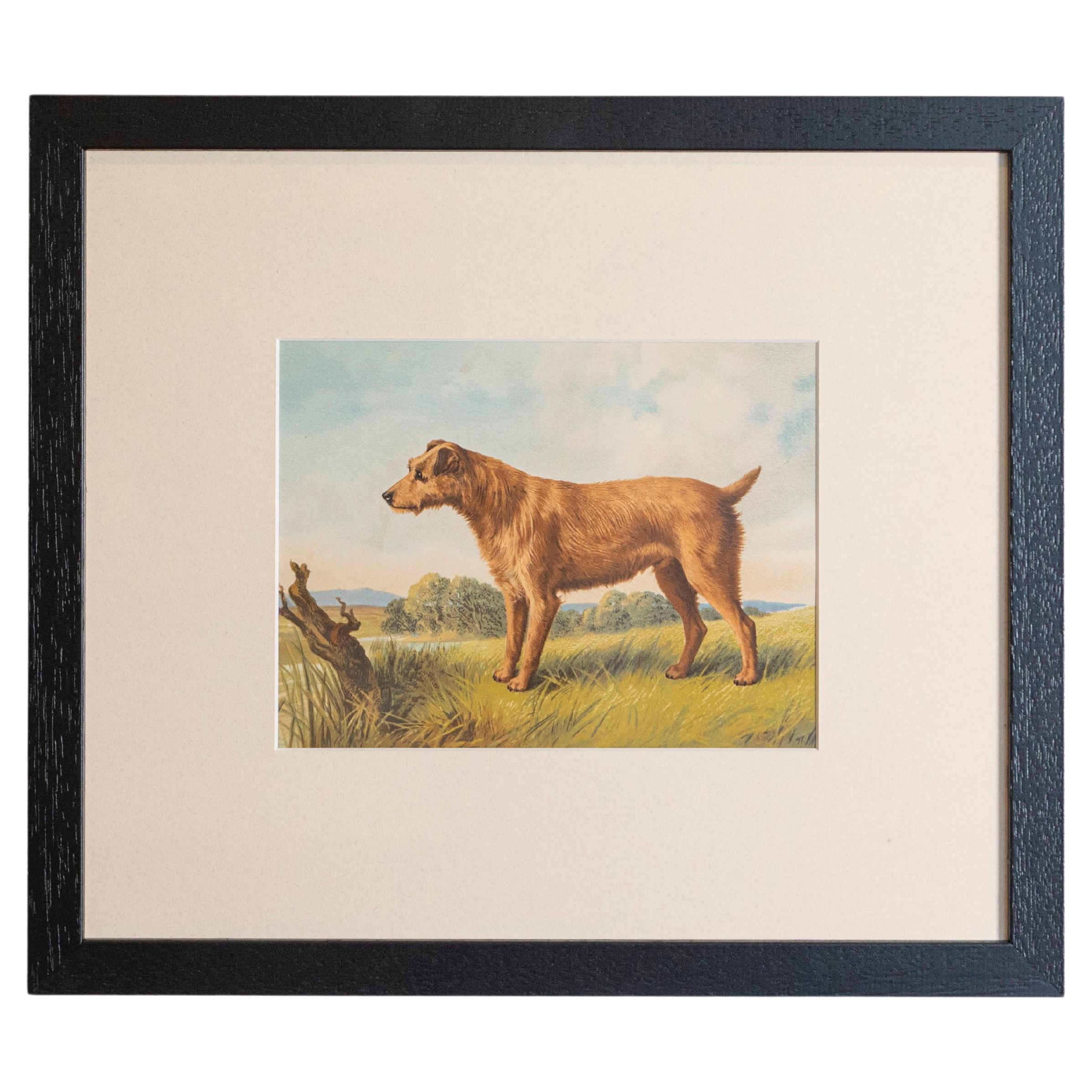 Single: Cassell, Petter, Galpin & Co Chromolithograph Dog Print in Black Frames