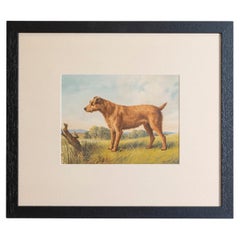 Single: Cassell, Petter, Galpin & Co Chromolithograph Dog Print in Black Frames