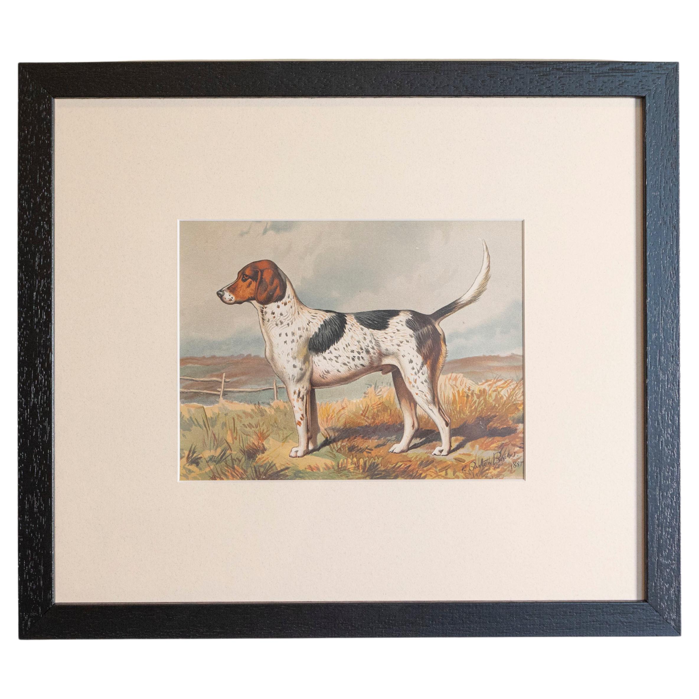 Single: Cassell, Petter, Galpin & Co Chromolithograph Dog Print in Black Frames