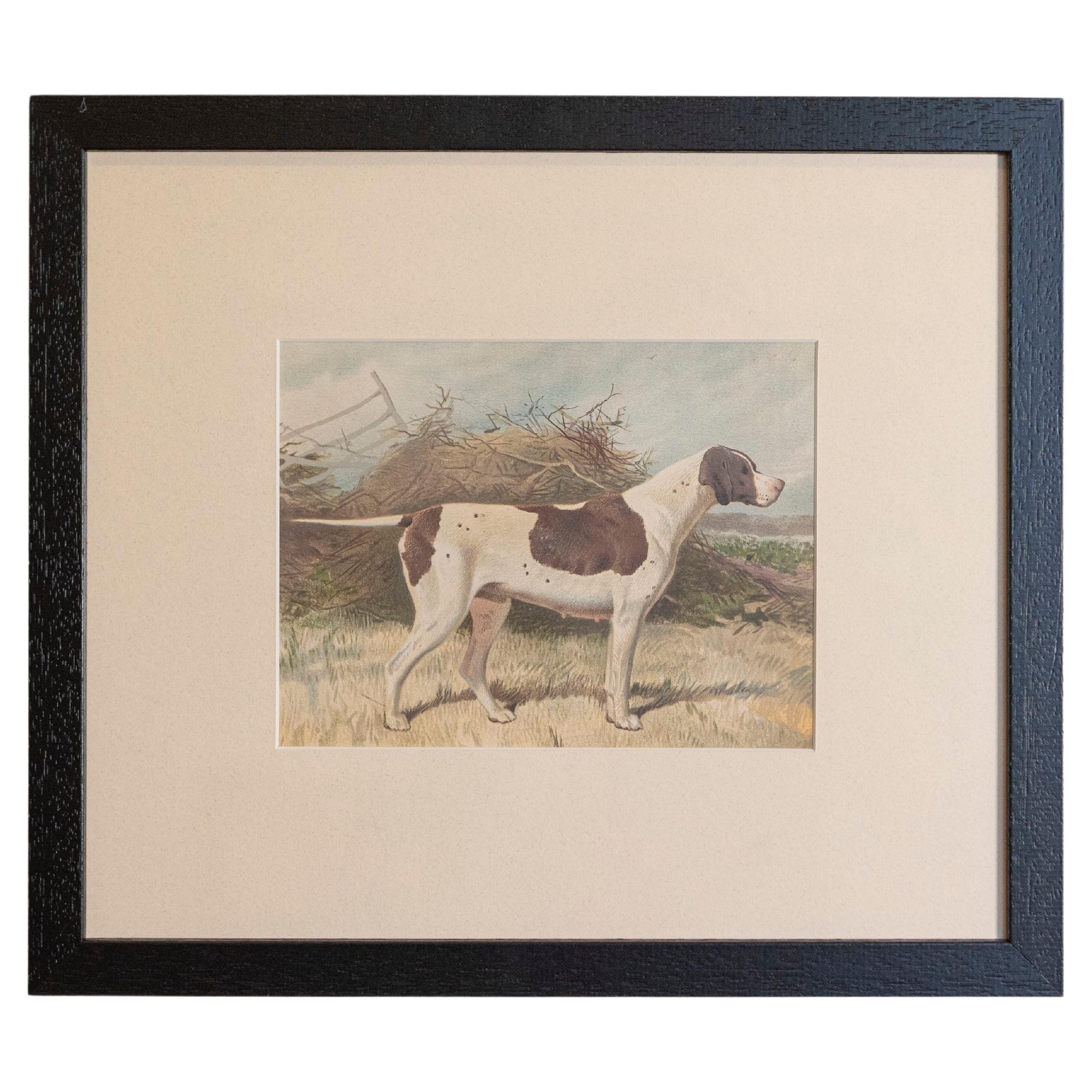 Single: Cassell, Petter, Galpin & Co Chromolithograph Dog Print in Black Frames