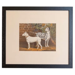 Single: Cassell, Petter, Galpin & Co, Chromolithograph Dog Print dans des cadres noirs