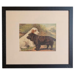 Single: Cassell, Petter, Galpin & Co Chromolithograph Dog Print in Black Frames