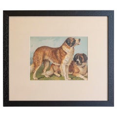 Single: Cassell, Petter, Galpin & Co Chromolithograph Dog Print in Black Frames