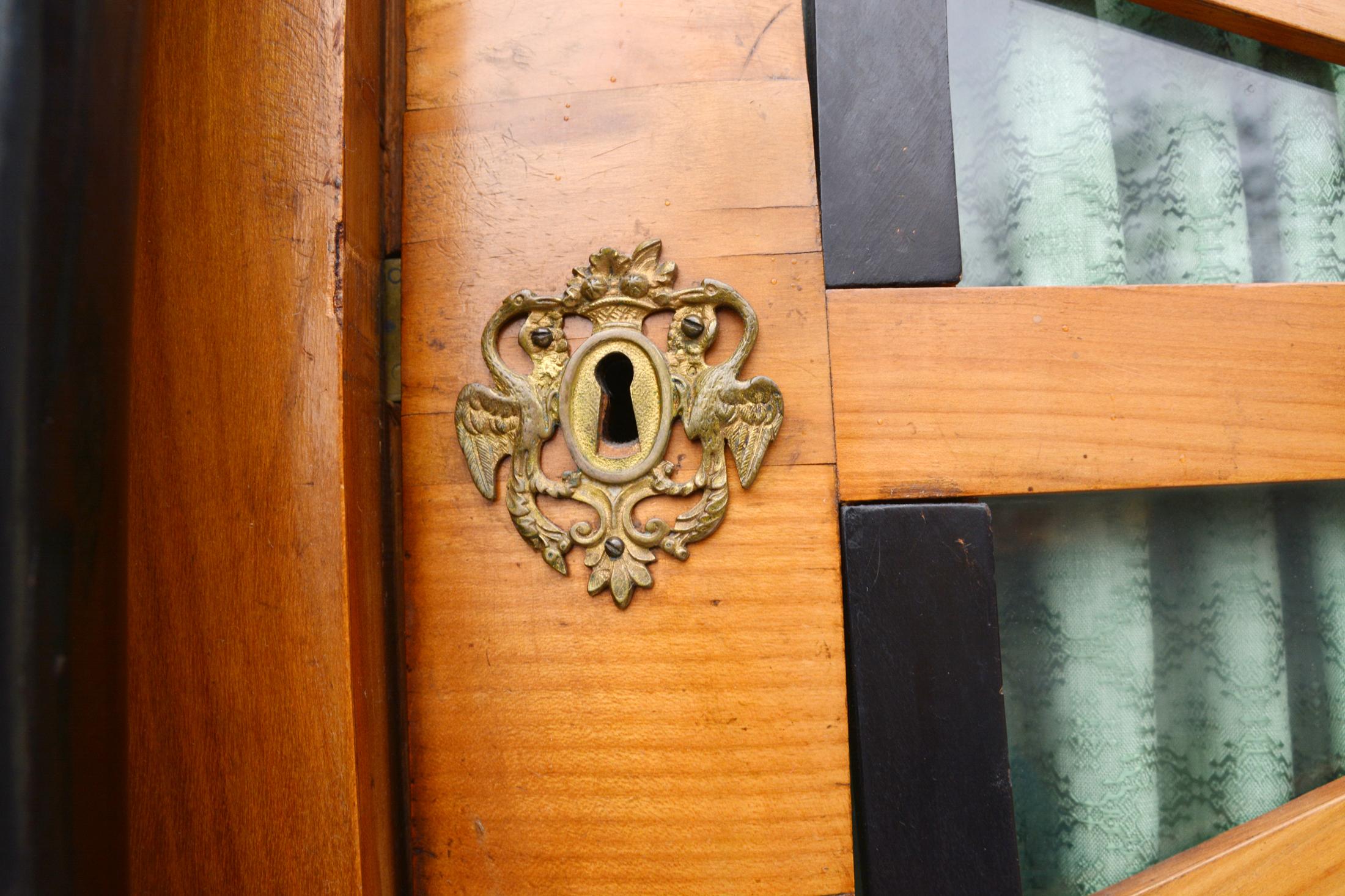 Early 19th Century Single-Door Biedermeier Display Case, Vienna, circa 1825